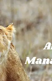 What is Anger? Is Anger a Mental Disorder? How do you control Anger? What is Anger? Is Anger a Mental Disorder? How do you control Anger?
